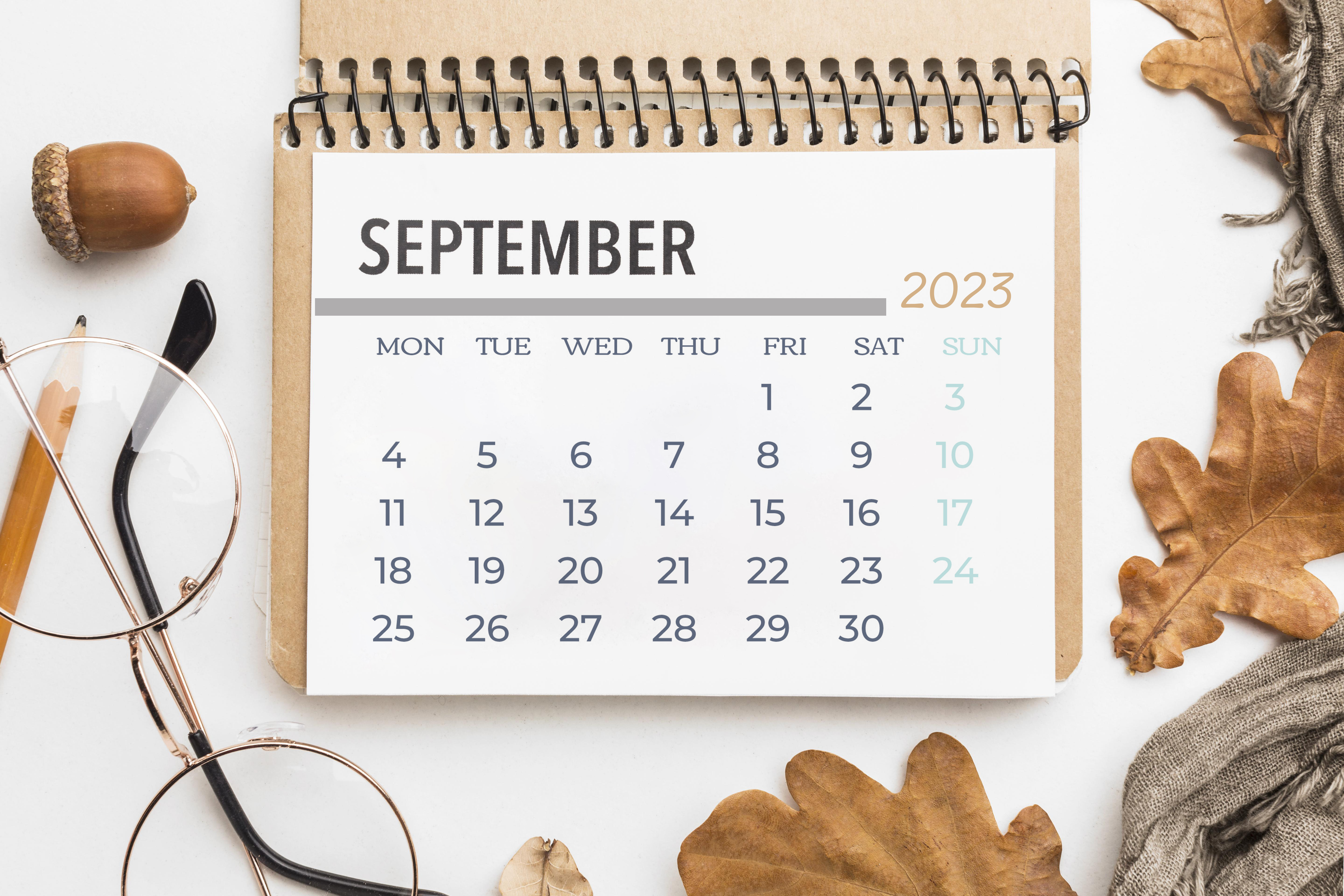 календарь на рабочий стол компьютера. календарь дерево. осень картинки для календаря. эстетичный календарь. календарь природы.