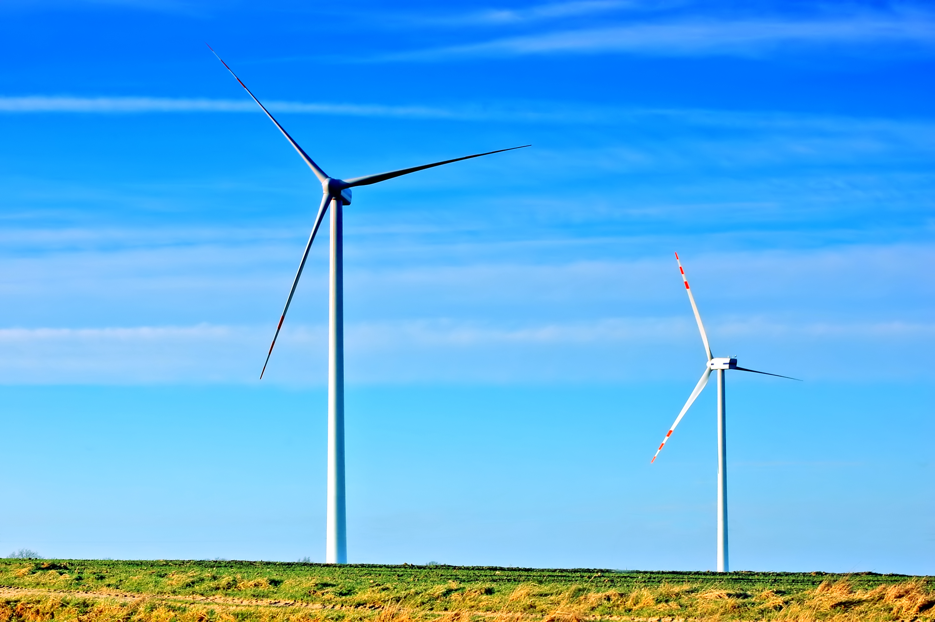 Businesses warn of costly transition risks without policy clarity